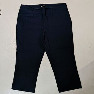 Hilary Radley Navy Blue Capri Size XL